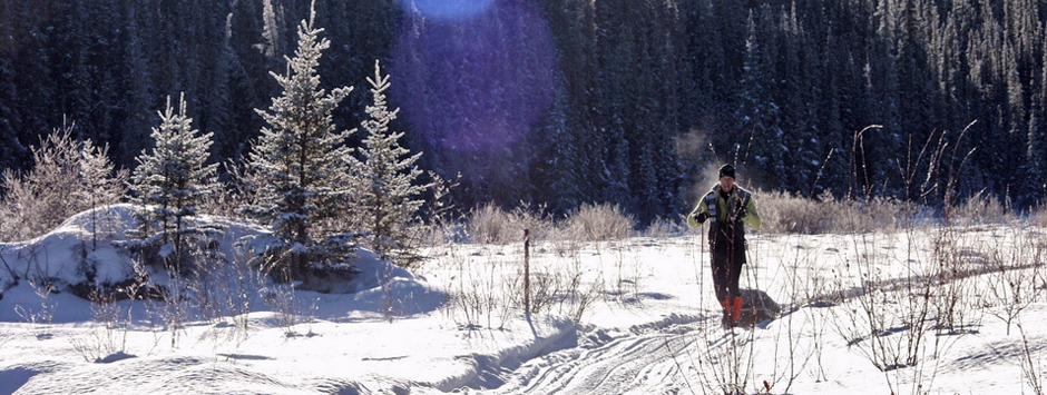 Yukon Arctic Ultra 2005