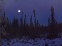 Susitna 100 - percorso 4