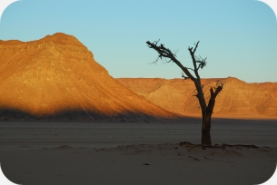 Gilf Kebir - Egitto (Natura) - NikBarte