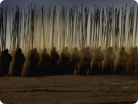 Esercito di Cambise