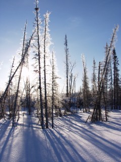Yukon Artic Ultra - Stefano Miglietti