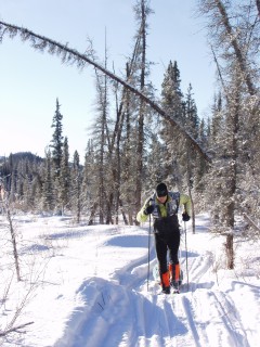 Yukon Artic Ultra - Stefano Miglietti