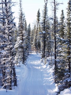 Yukon Artic Ultra - Stefano Miglietti