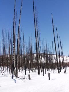 Yukon Artic Ultra - Stefano Miglietti