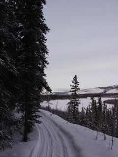 Yukon Artic Ultra - Verso Carmacks